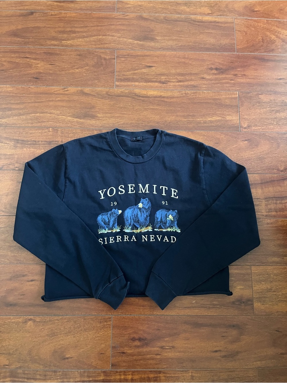 John Galt Yosemite cropped sweatshirt